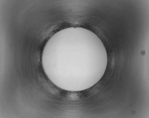 X0000112520710200909141223
