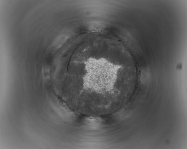 X0000112520712200909141223