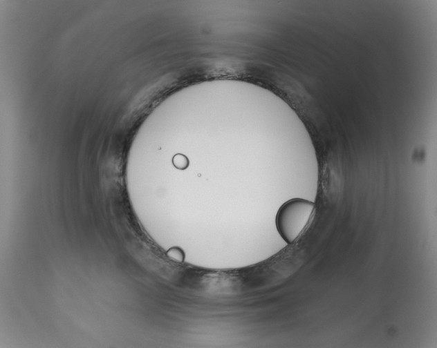 X0000112520714200909141223