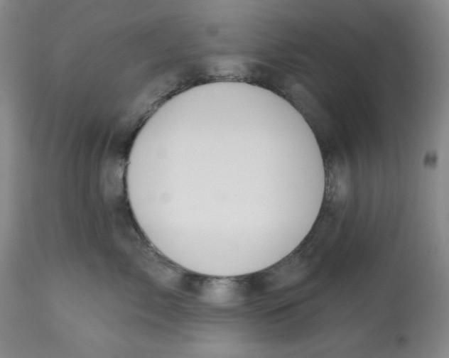 X0000112520717200909141223