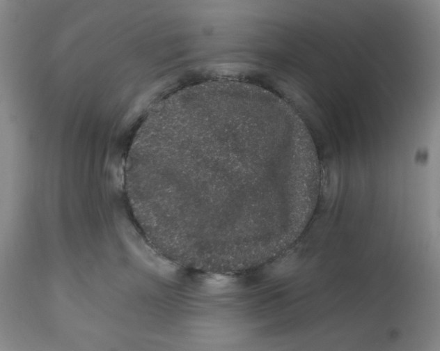 X0000112520718200909141223