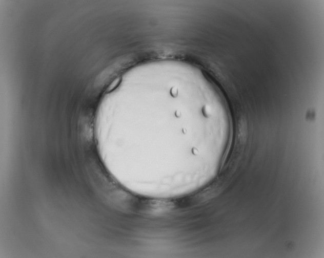 X0000112520719200909141223