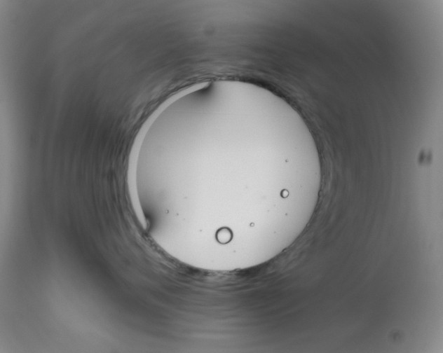 X0000112520720200909141223