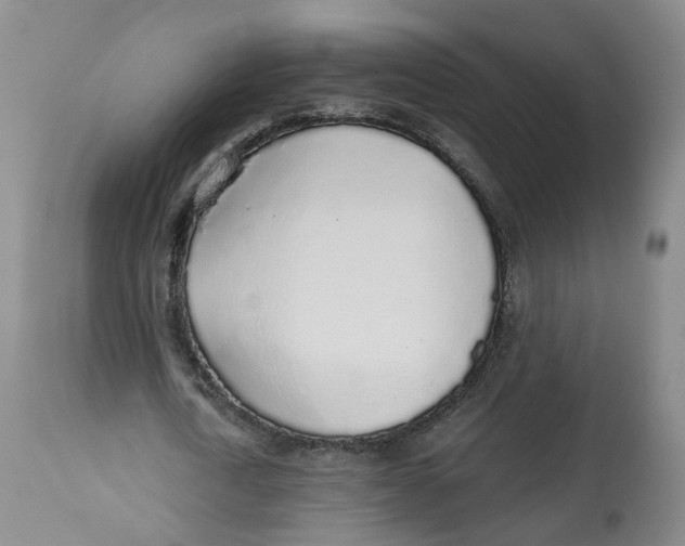 X0000112520722200909141222