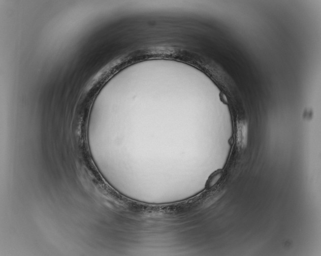 X0000112520723200909141222