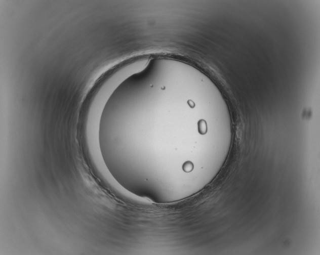 X0000112520724200909141222