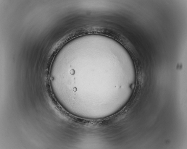 X0000112520725200909141222