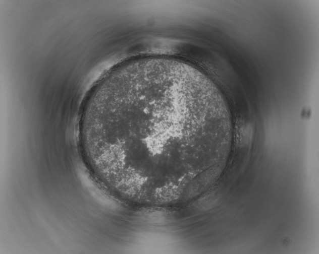 X0000112520726200909141222