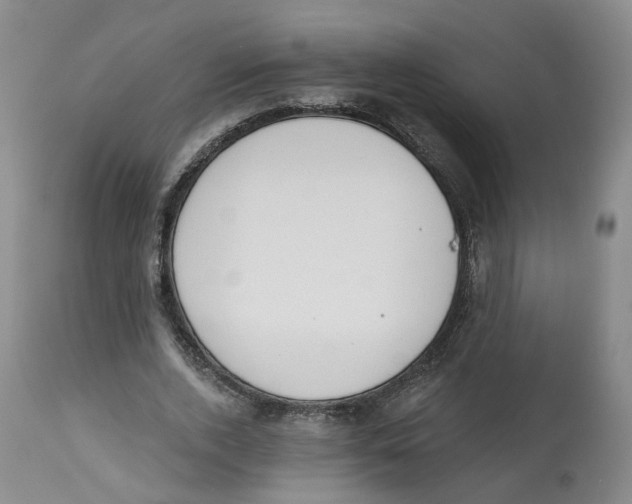X0000112520728200909141222