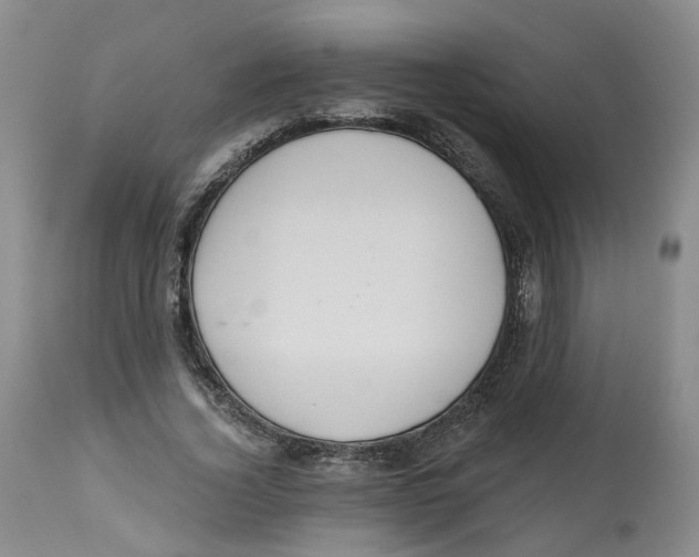 X0000112520732200909141222