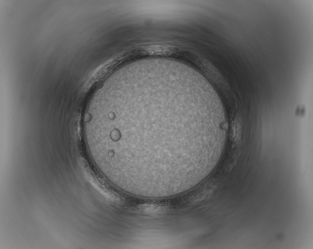 X0000112520733200909141222