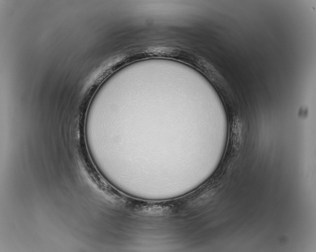 X0000112520734200909141222