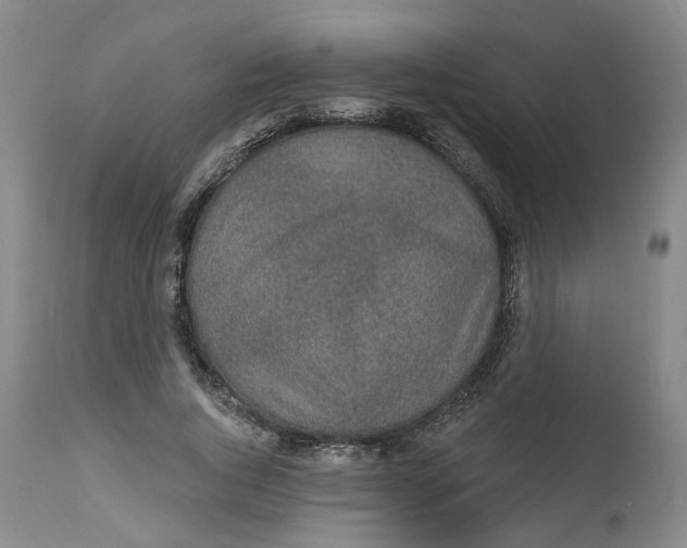 X0000112520736200909141222