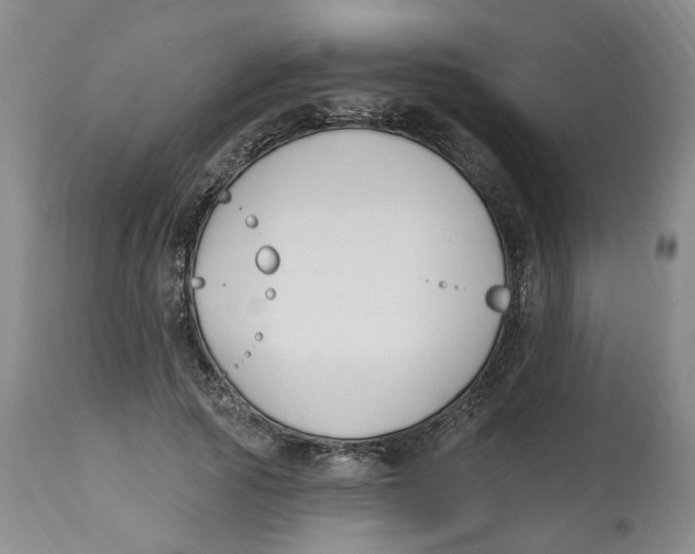 X0000112520737200909141222
