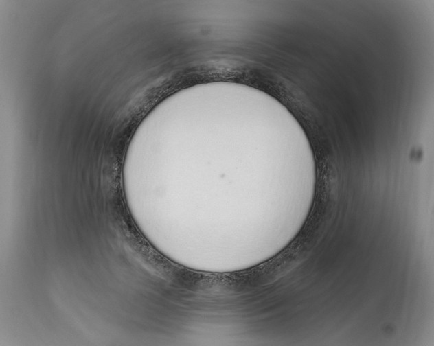 X0000112520745200909141222