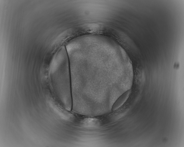 X0000112520748200909141223