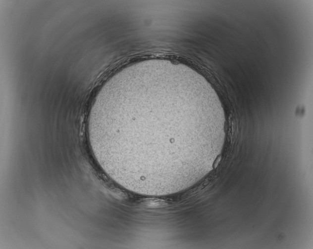 X0000112520750200909141223