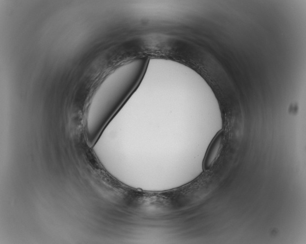 X0000112520752200909141223