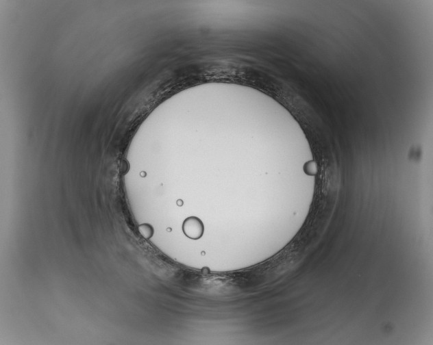 X0000112520753200909141223