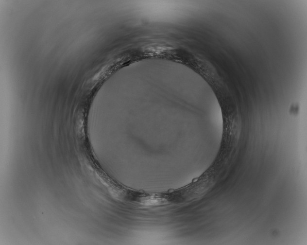 X0000112520754200909141223