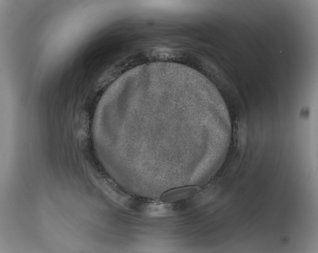 X0000112520760200909141223