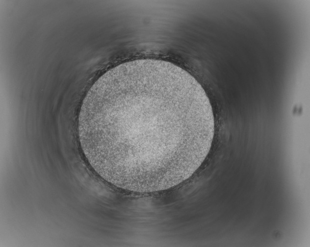 X0000112520769200909141222