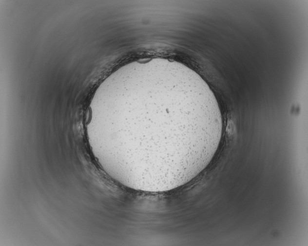 X0000112520771200909141222