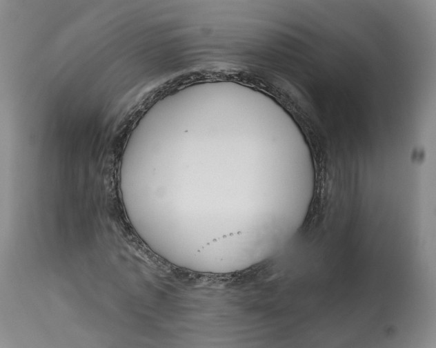 X0000112520773200909141222