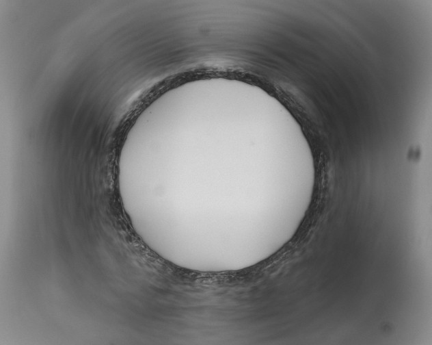 X0000112520776200909141222