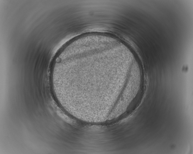 X0000112520779200909141222