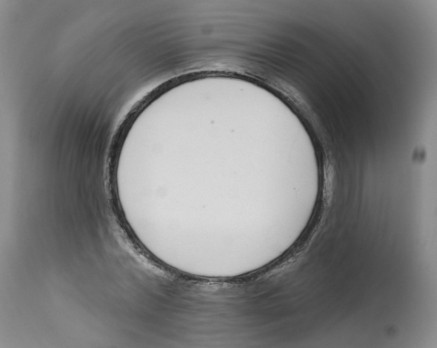 X0000112520780200909141222