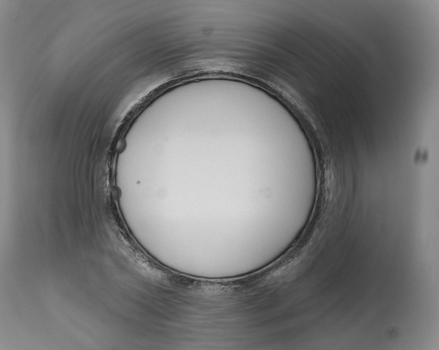 X0000112520782200909141222