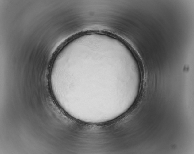 X0000112520783200909141222
