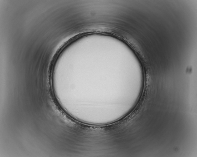 X0000112520784200909141222