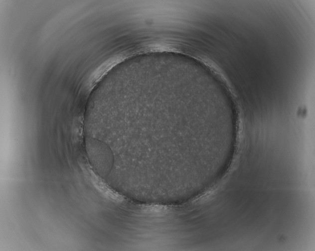 X0000112520785200909141222