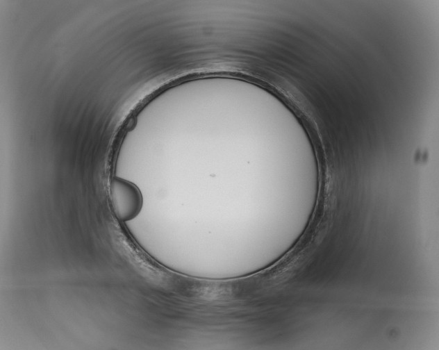 X0000112520789200909141222