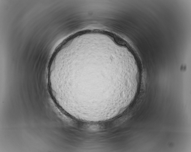 X0000112520791200909141222