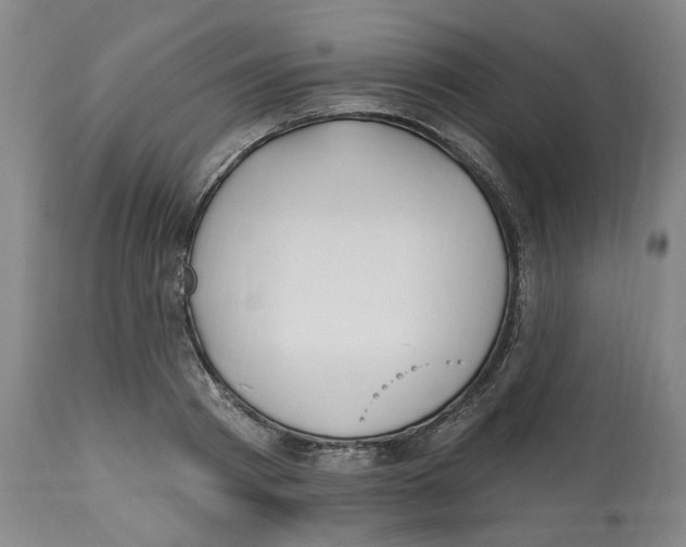 X0000112520793200909141222