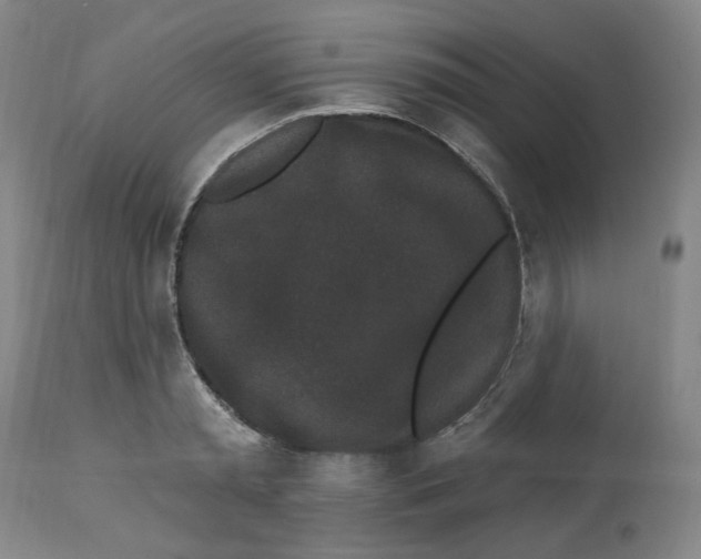 X0000112520797200909141222