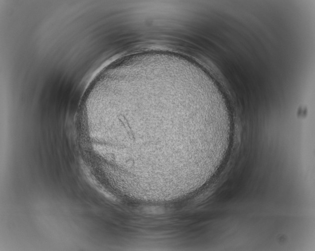 X0000112520798200909141222