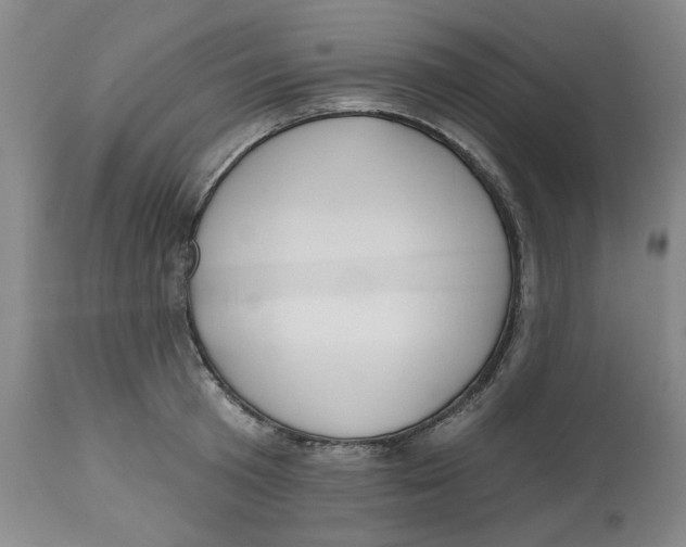 X0000112520801200909141222