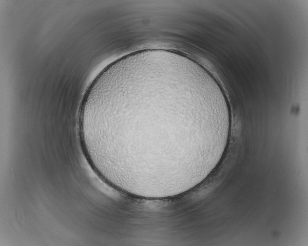 X0000112520803200909141222