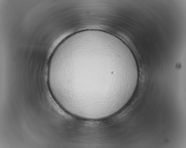X0000112520804200909141222