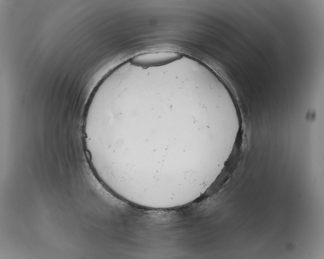 X0000112520805200909141222