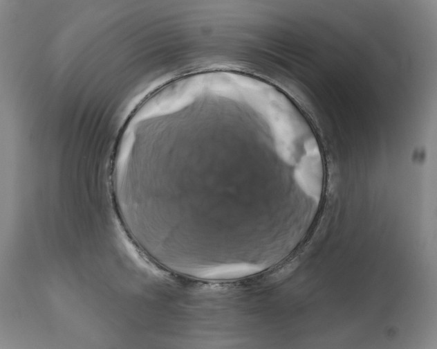 X0000112520806200909141222