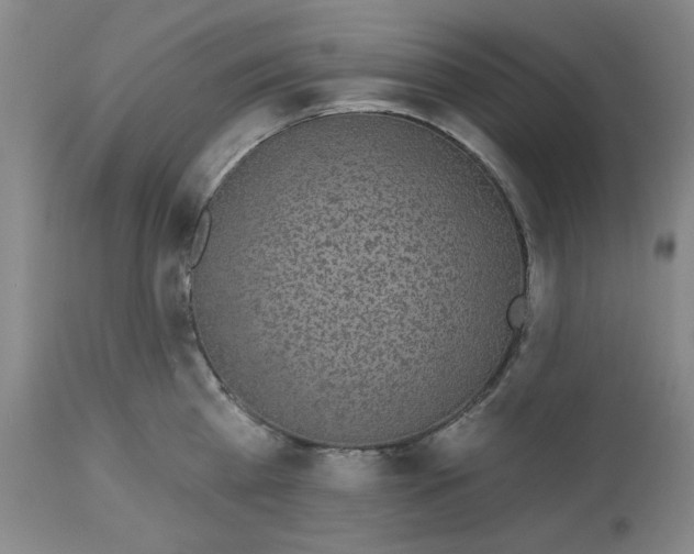 X0000112520809200909141222
