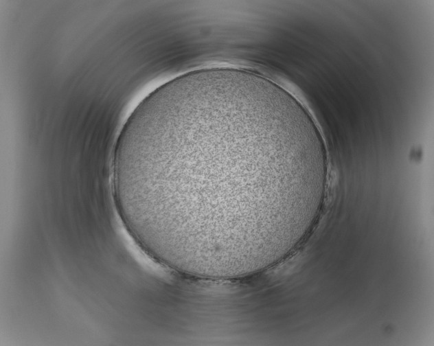 X0000112520811200909141222