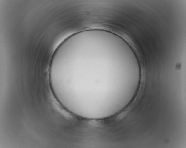 X0000112520814200909141222