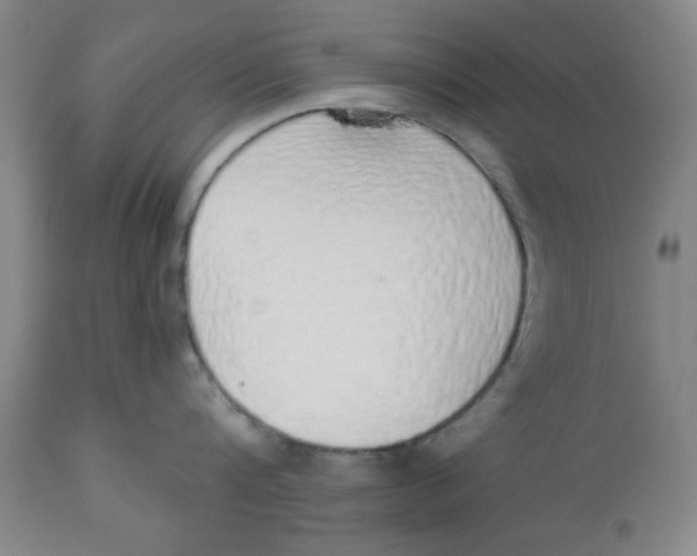 X0000112520816200909141222