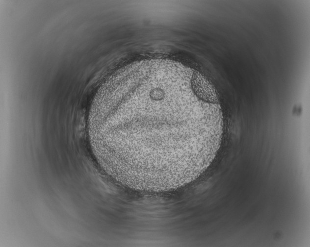 X0000112520818200909141221